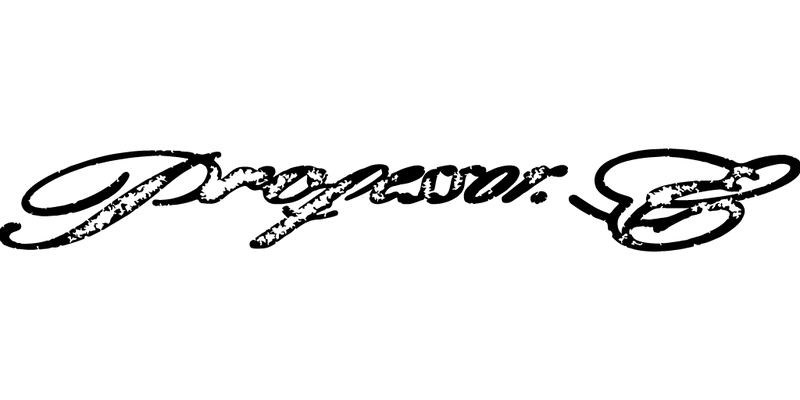 Professor.E